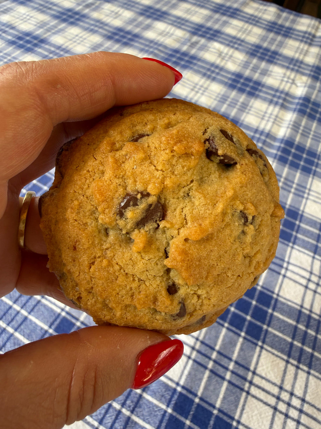 Salted Caramel Chocolate Chip Pudding Cookies