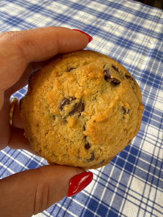 Salted Caramel Chocolate Chip Pudding Cookies