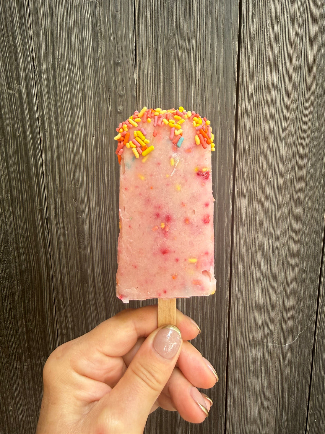 Confetti Pudding Rainbow Popsicles
